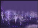 Crystalsong Forest 4