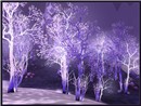 Crystalsong Forest 2