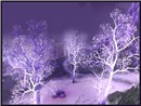 Crystalsong Forest 1