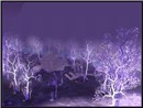 Crystalsong Forest 6
