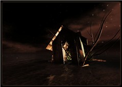 Second Life ~ REZ