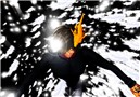 Light