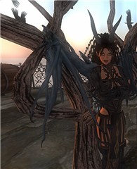 Raven