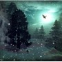 WinterWood