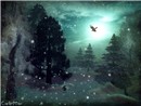 WinterWood