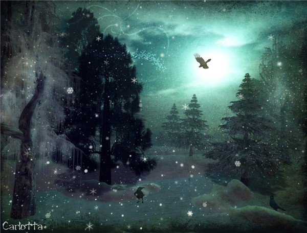 WinterWood