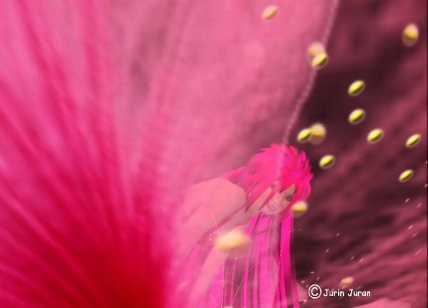 Eshi Otawara's Hibiscus Dream dress