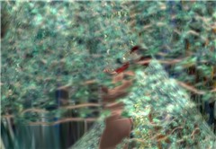 Visions of life, again