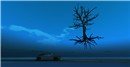 Getting to the root of the problem... - Talia Tokugawa