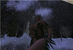 Snowy night