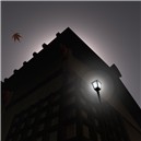 Goodbye, Gion 41/50