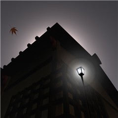 Goodbye, Gion 41/50