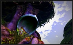The forest of the strange tree　003