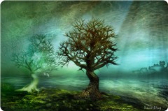The Secret of the Trees