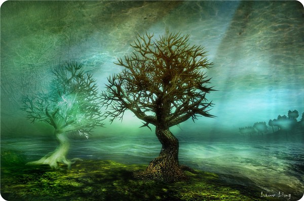 The Secret of the Trees