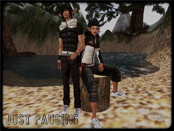 Just Pausing
