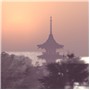 Goodbye, Gion 46/50