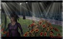 test - Clarrice Cinquetti