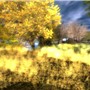 harvest meadow - watcher Castaignede