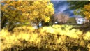 harvest meadow - watcher Castaignede