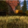shed by field - watcher Castaignede