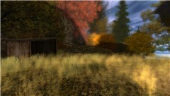 shed by field - watcher Castaignede