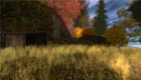 The Harvest Field