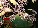 GION-Forever(2)