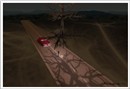 Under the tree that died 2
