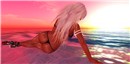 bikini sunset 6_001