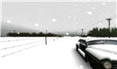 monochrome in the illuminated season