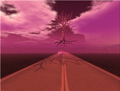 In the way to life.. - Ahmad Hosho
