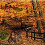 autumn - the fall