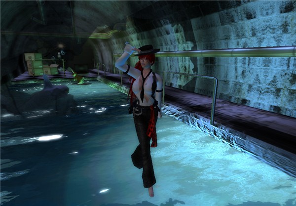 Sewers