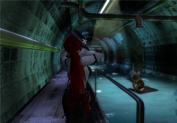 Sewers
