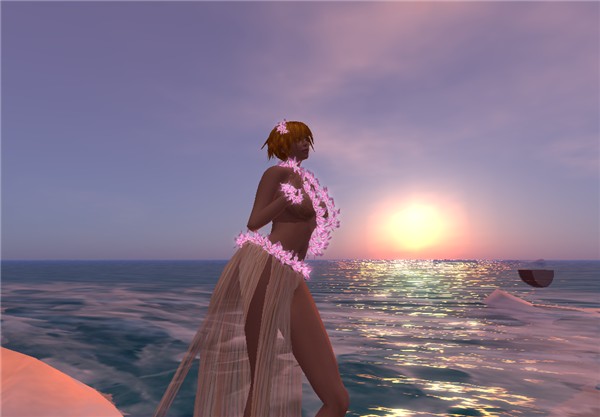 Coastal sun