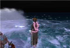 Hula girl and ocean by night