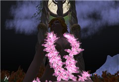 Hula magic night