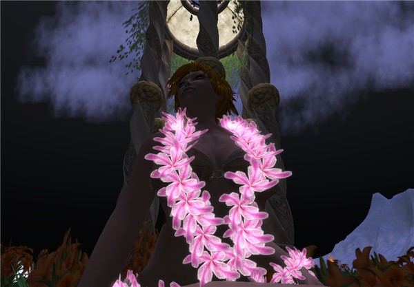 Hula magic night