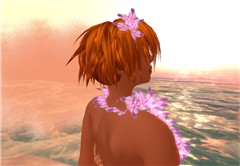 Looking at the sun