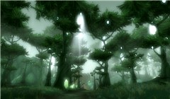 Terokkar Forest