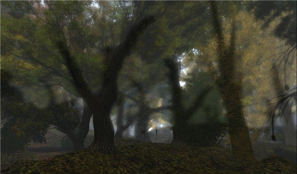 The Enchanted Forest