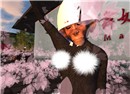 GION Project - Sammy Biddle