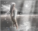 Dream on