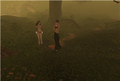 the 2nd photo of the garden - Ahmad Hosho
