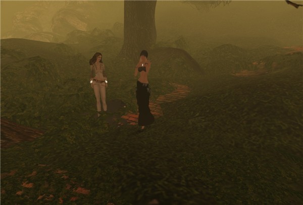 the 2nd photo of the garden - Ahmad Hosho