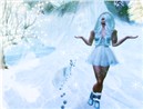 Winter Wonderland