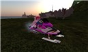 Kittie and Me on my snowmobile