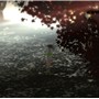 Lost in a Forest