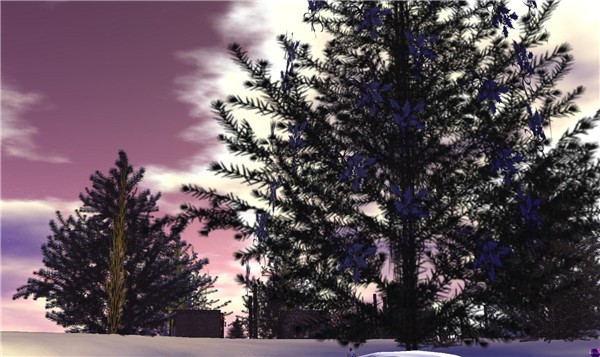 Winter Calls - Poid Mahovlich